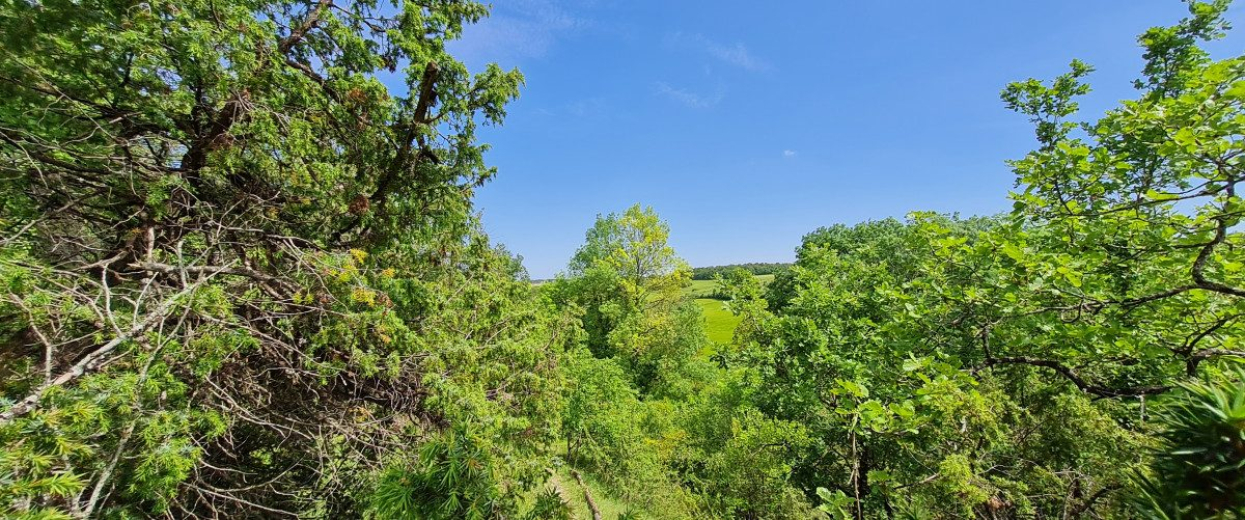 Éperon Barré de Murat