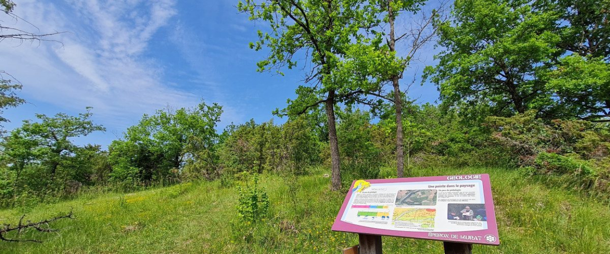 Éperon Barré de Murat