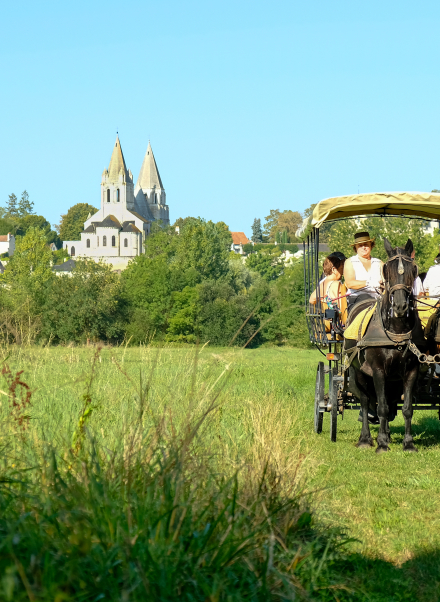 calèche dans les Prairies du Roy face à Loches