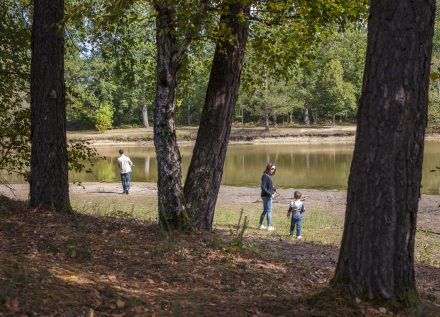 Forêt de Tours-Preuilly en famille