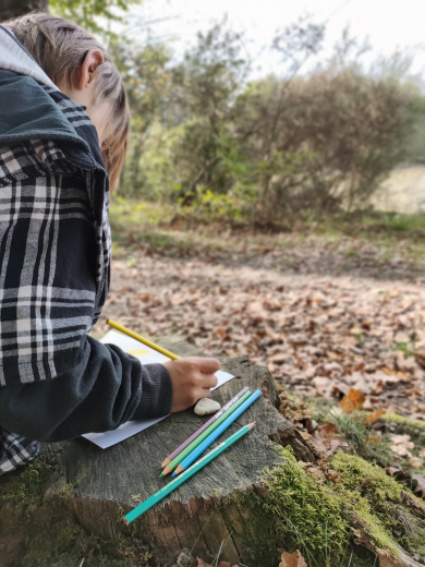 Randocroquis en forêt de Loches