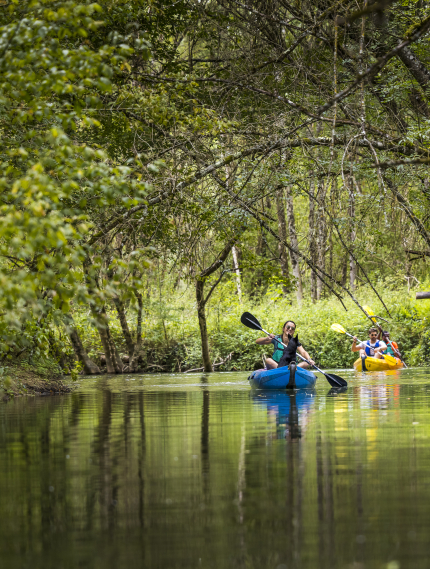 canoës sur l'Indre à Loches