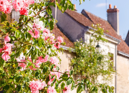 rue fleurie à Chédigny