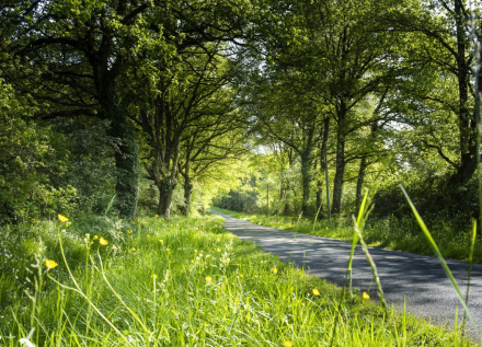 route de campagne