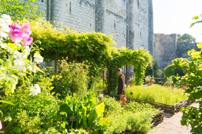 jardin medieval du donjon de Loches