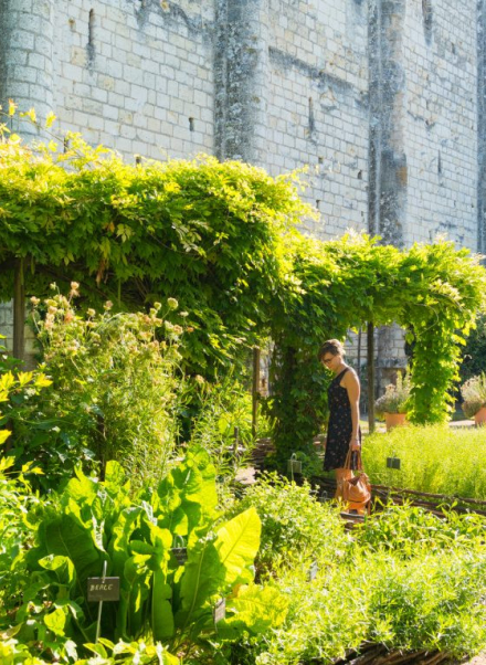 jardin medieval du donjon de Loches