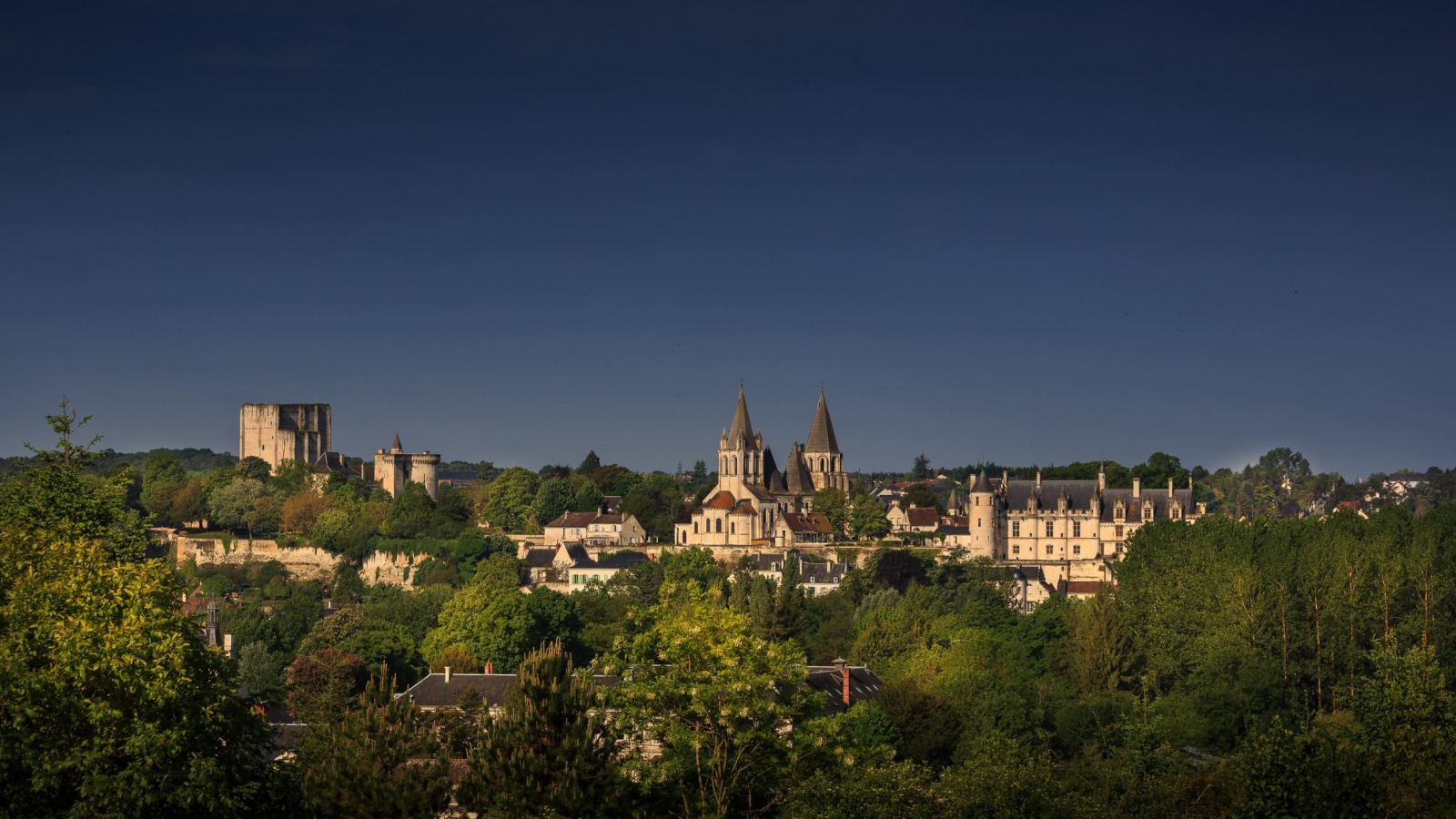 vue panoramique de la cité royale de Loches