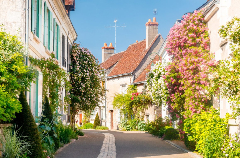 rue fleurie de Chédigny