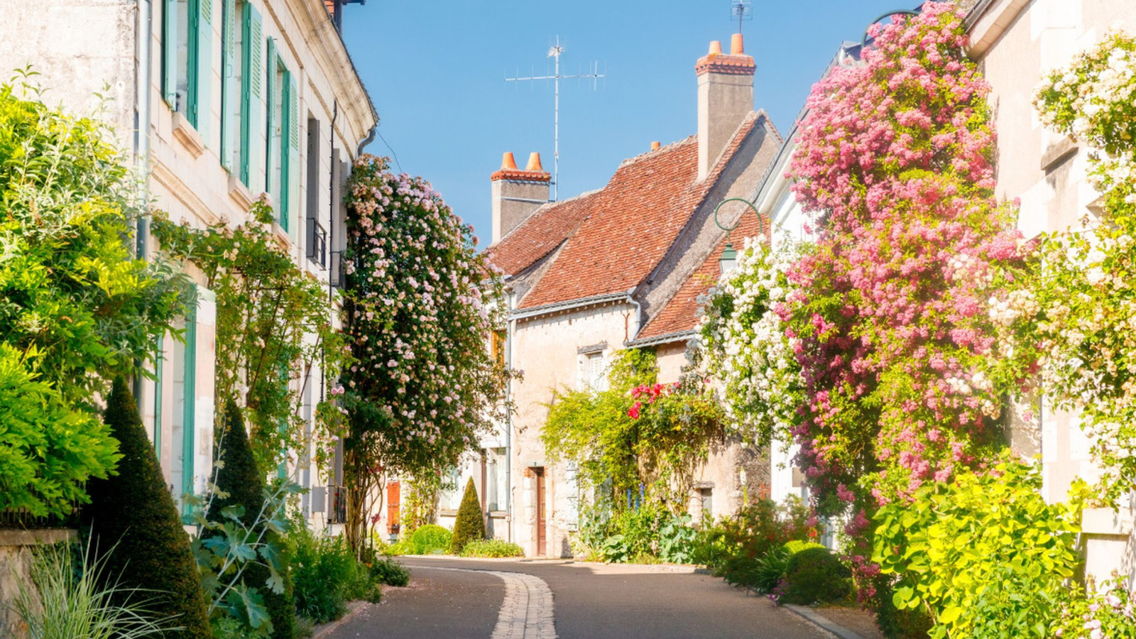 rue fleurie chédigny