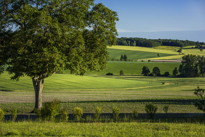 campagne