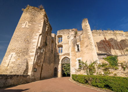 donjon château de Montrésor