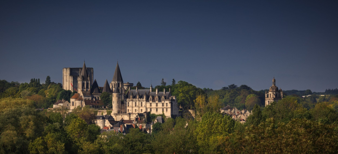 vue panoramique logis royal collegiale saint-ours donjon
