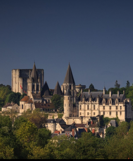 vue panoramique logis royal collegiale saint-ours donjon