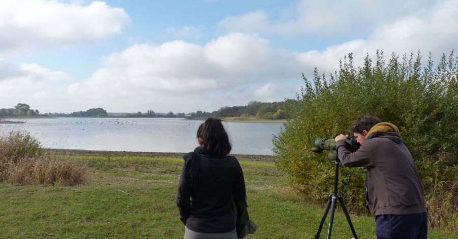 étang du Louroux observation ornithologique