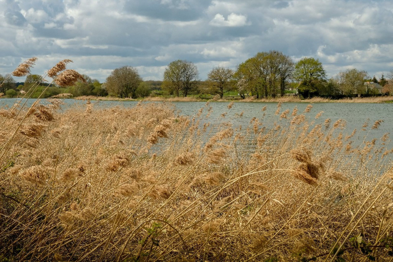 etang Le Louroux