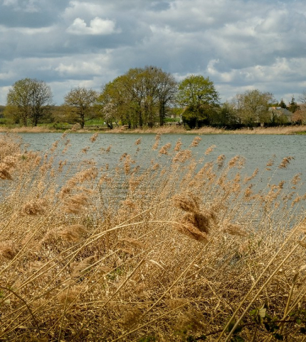 etang Le Louroux