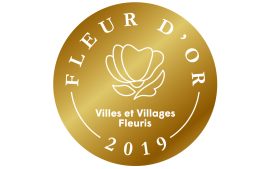 LOGO FLEUR D'OR