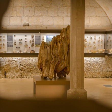 Musee prehistoire - Grand-Pressigny