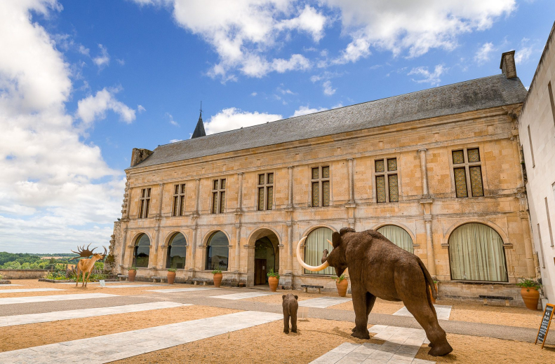 Musee de la prehistoire mammouth Grand-Pressigny