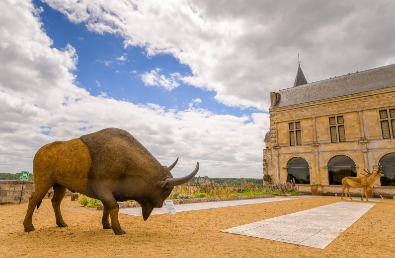 donjon chateau Musee BISON Grand_Pressigny