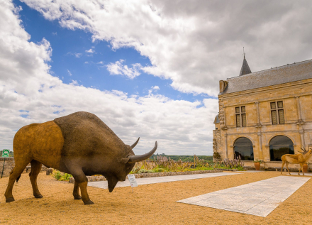 donjon chateau Musee BISON Grand_Pressigny