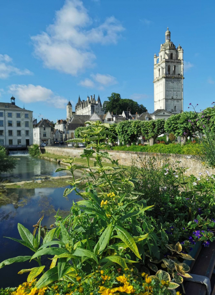 tour saint-Antoine à Loches