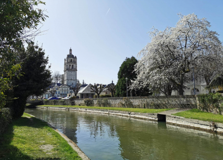 promenade saint-Andrew et tour Saint-Antoine à Loches