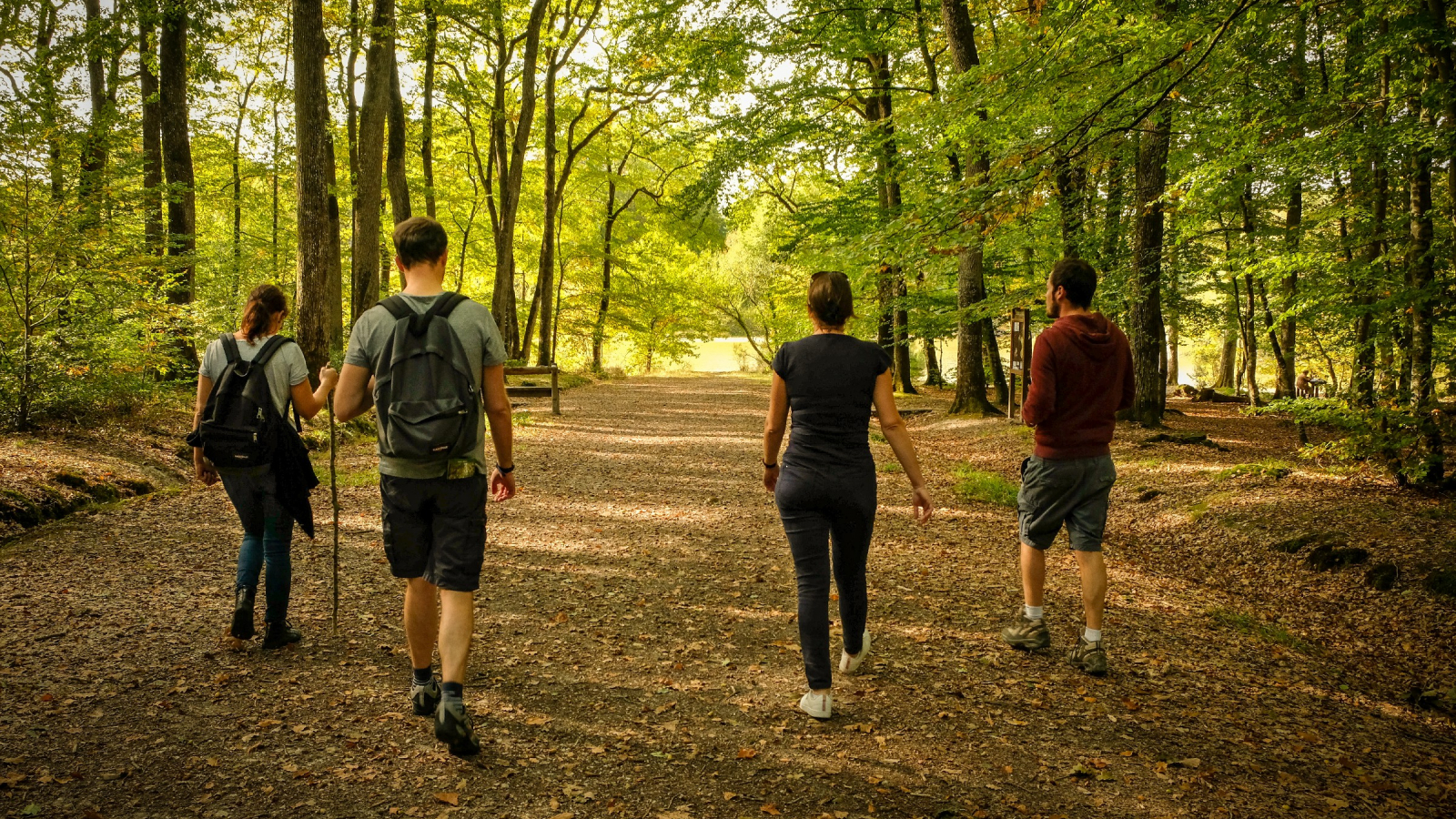 4 amis en randonnée en forêt de Loches