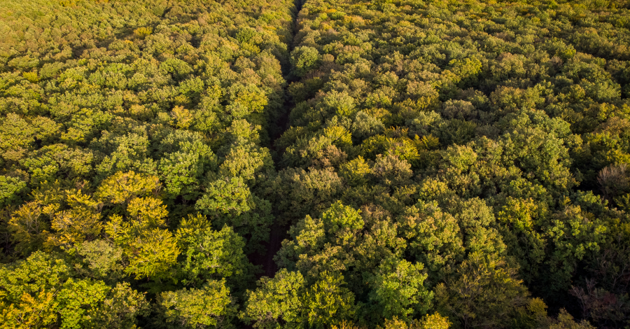 vue aérienne de la forêt de Loches
