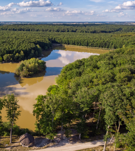 étang du Pas aux Anes en foret de Loches