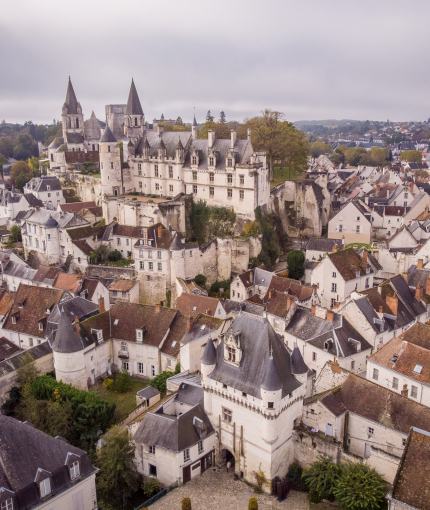 vie aérienne cité royale loches