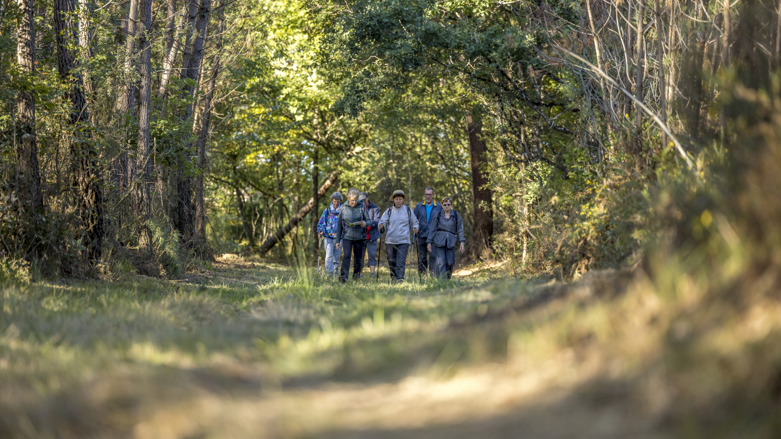 randonnée en forêt