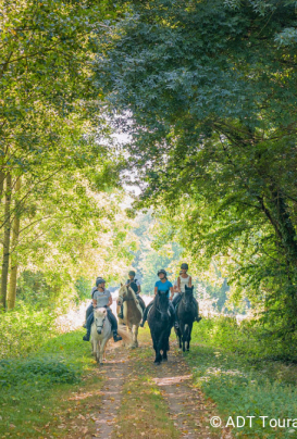 chevaux et cavaliers en forêt