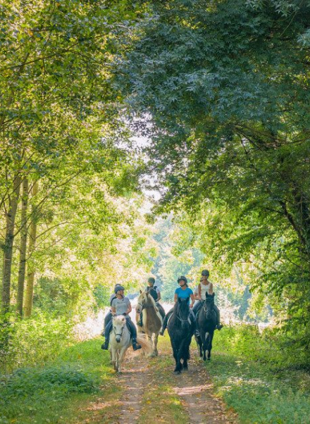 chevaux et cavaliers en forêt