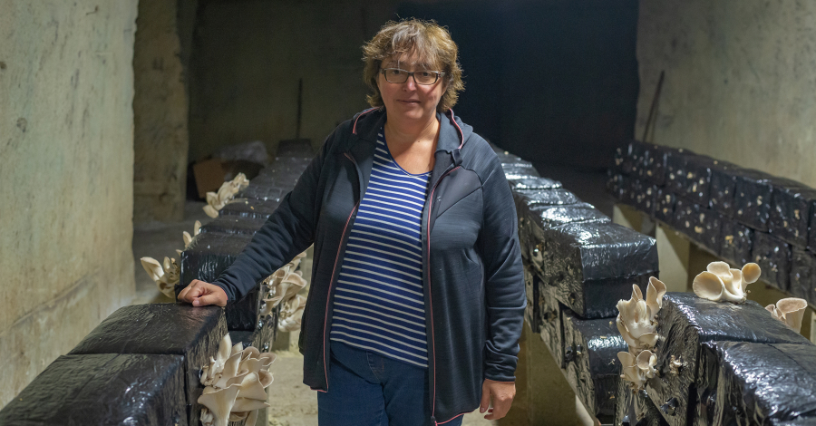 Culture de champignons en troglo à Loches