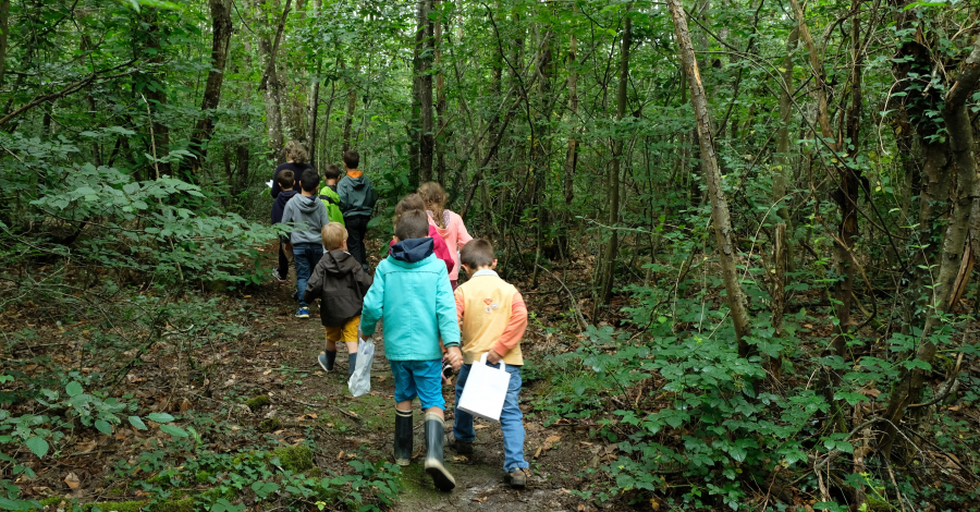 Chasse au trésor en forêt de Tours-Preuilly