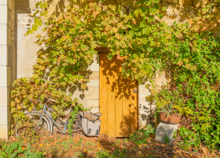 Les Côteaux hameau en troglo à Sepmes et Draché