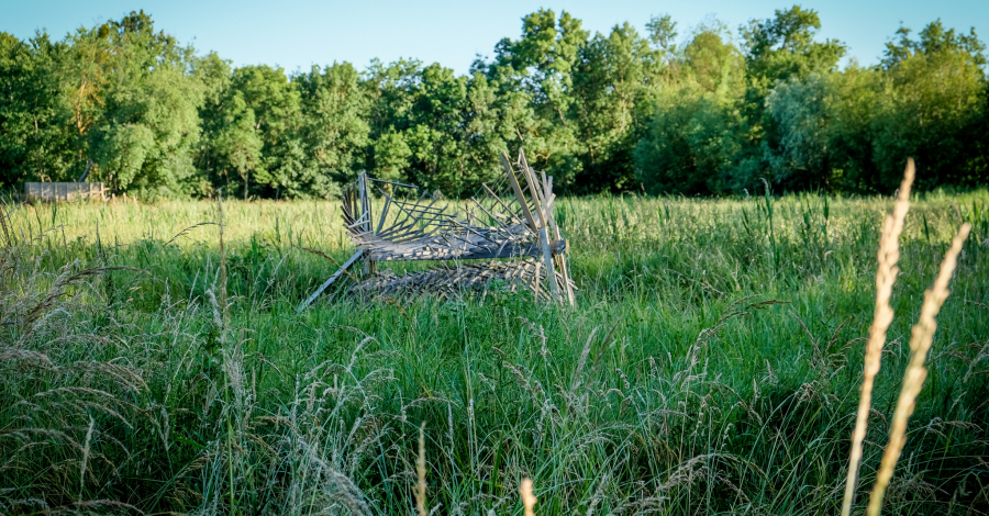 Art dans les Prairies du Roy