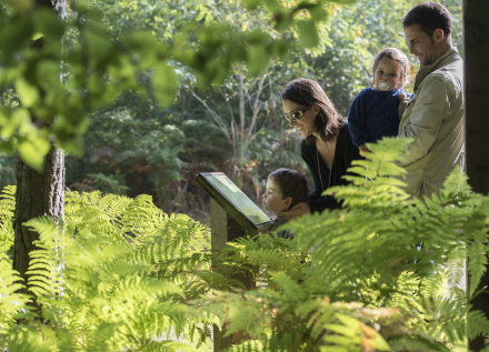 forêt de Tours Preuilly en famille