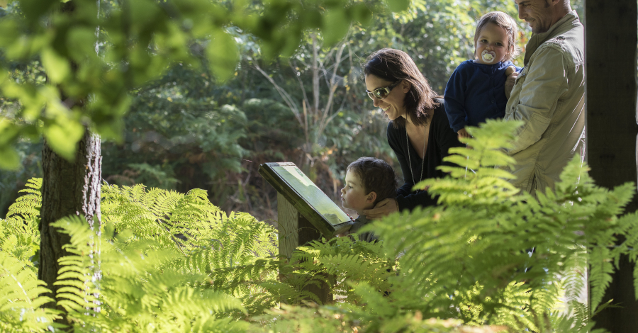 forêt de Tours Preuilly en famille