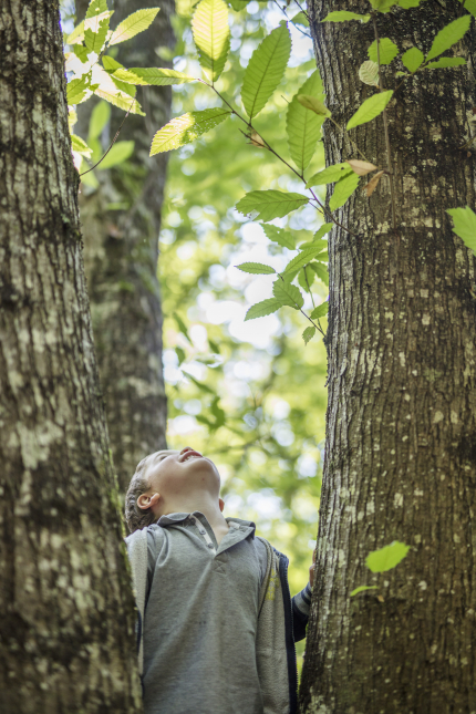 forêt de Tours Preuilly en famille