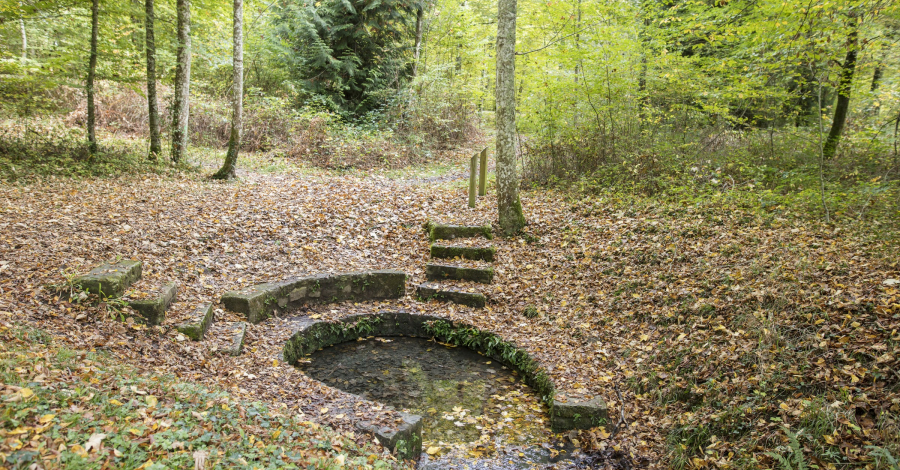 forêt de Loches fontaine orfond