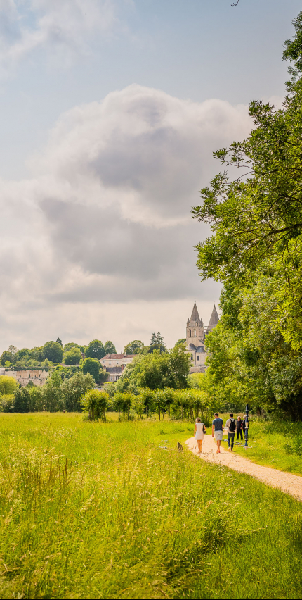 Prairies du roy avec vue sur la cité royale de Loches