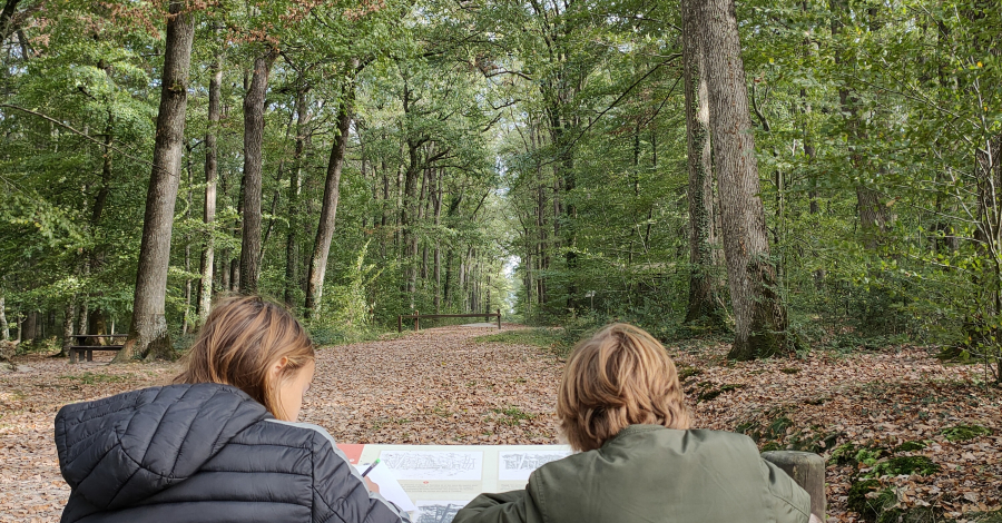 foret loches randocroquis enfants