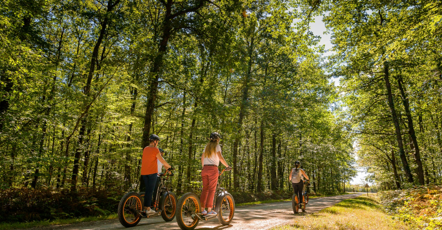 Balade en trottinettes électriques en forêt de Loches