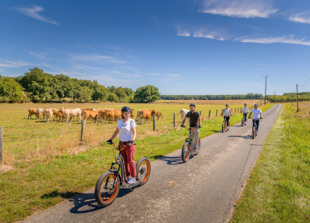 Trottinettes électriques dans la campagne et vaches