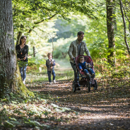 Balade en famille en forêt de Tours-Preuilly