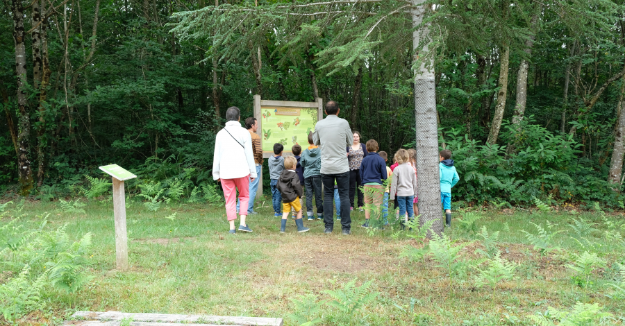 enfants à la chasse tresor en foret de Tours-Preuilly