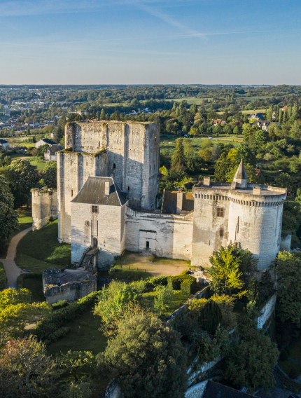vue aérienne du donjon de Loches