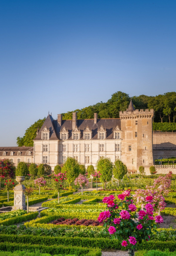 jardin et château de Villandry